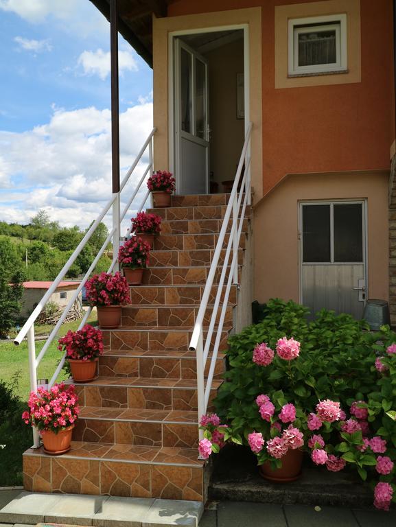 Apartment Luka Kuterevo Eksteriør billede